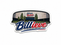 Small Billieve Stadium Magnet
